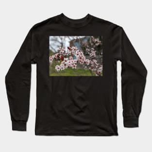 Cherry Blossoms 3 Long Sleeve T-Shirt